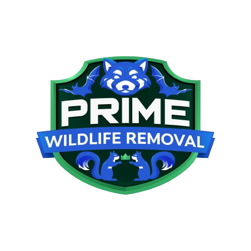 Wildlife Removal Cicero